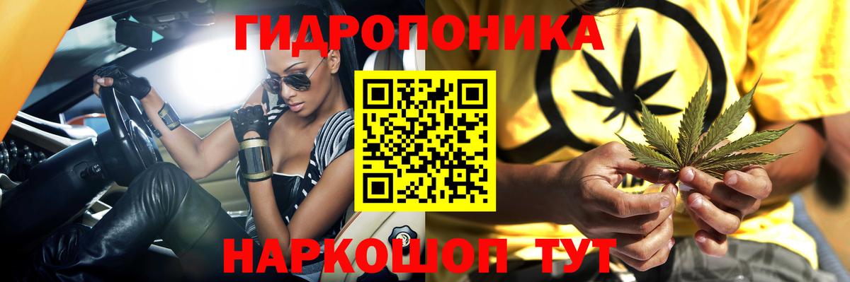 Каннабис White Widow  Марихуана MAZAR  Вход с VPN  Конопля OG Kush  Кинешма  МАРИХУАНА MAZAR 